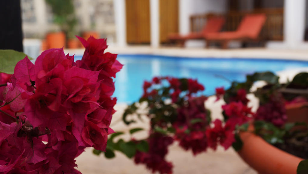 Atitlan Villas Agua Escondida Zewnętrze zdjęcie